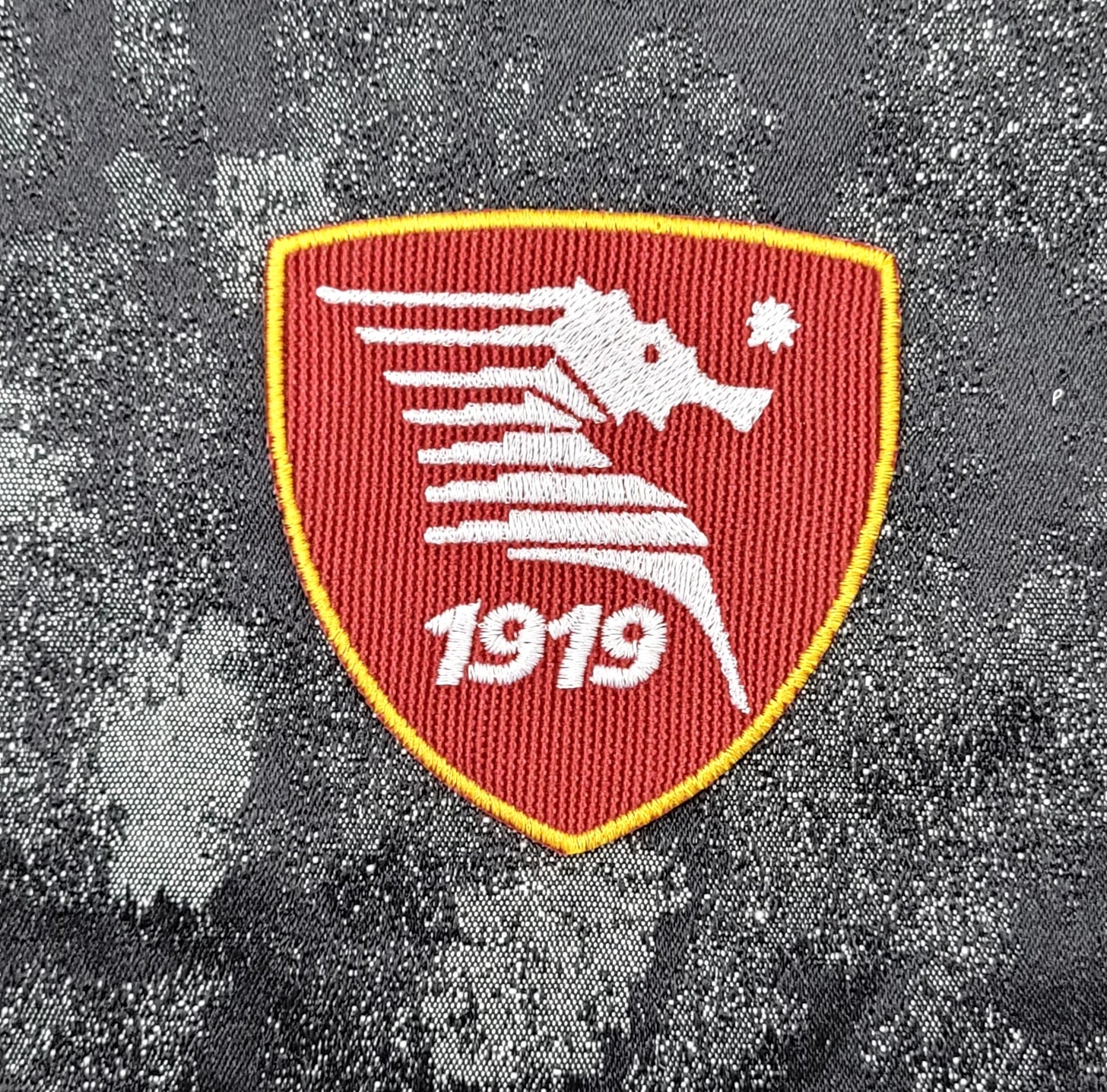 Patch Salernitana Calcio Coat of Arms Embroidered Iron-on or Sew-on 8x8 cm